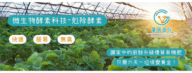 基因進化