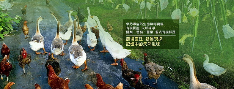 卓乃潭無毒生態農場-許祐瑜